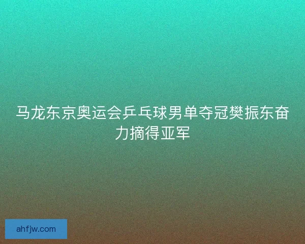 马龙东京奥运会乒乓球男单夺冠樊振东奋力摘得亚军
